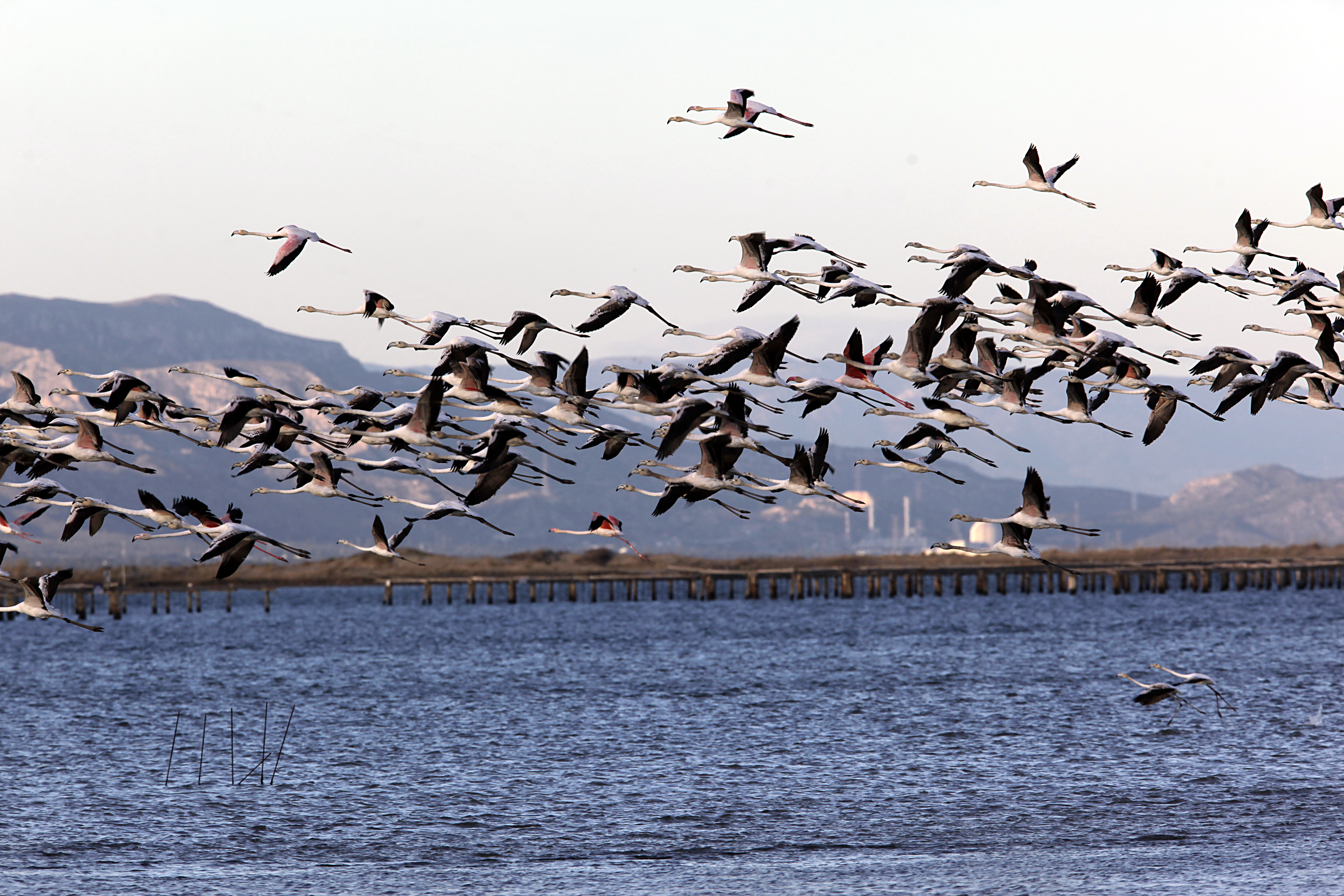 Parc Natural del Delta de l’Ebre